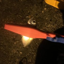 タチウオそしてアジ