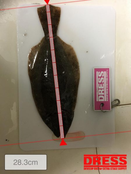 アジングでソゲ