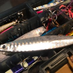 サバサバサバサバサバサバ…