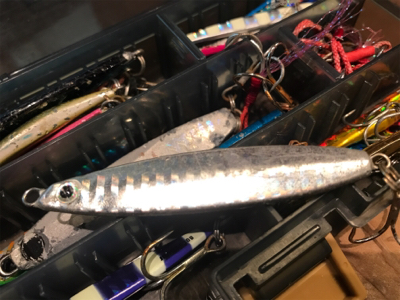 サバサバサバサバサバサバ…