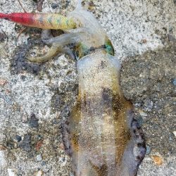 数おおすぎーーーー！