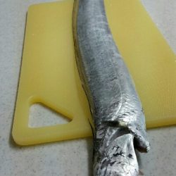 神戸沖堤調査No1