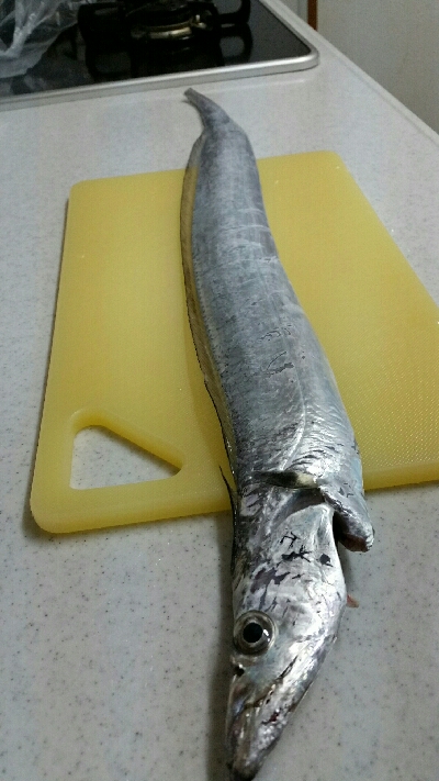 神戸沖堤調査No1