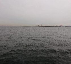 やっと秋が来た！