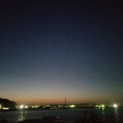 キス釣り ~ちょい投げ仕掛けにアジ~