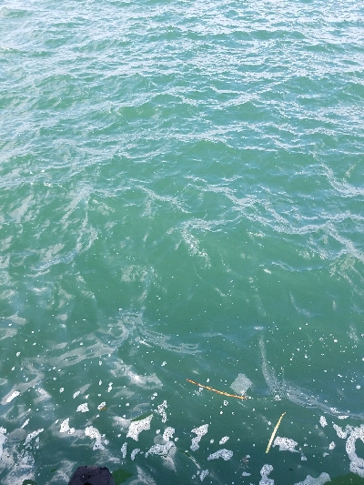 キス釣り ~カレイがヒット!~