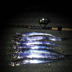 短期勝負はワインドで