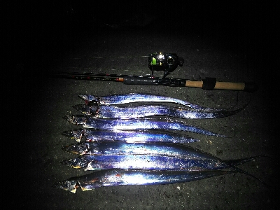 短期勝負はワインドで