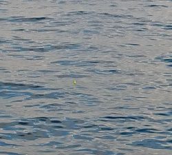 やっぱりあかん