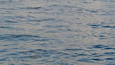 やっぱりあかん