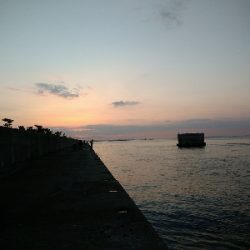 やっぱりヘチヌー。