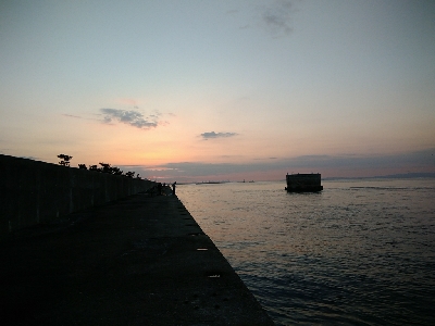 やっぱりヘチヌー。