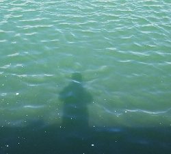 投げ釣りでハゼ