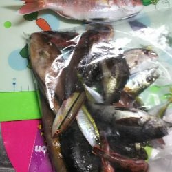 うきまろ釣大会に参加しました