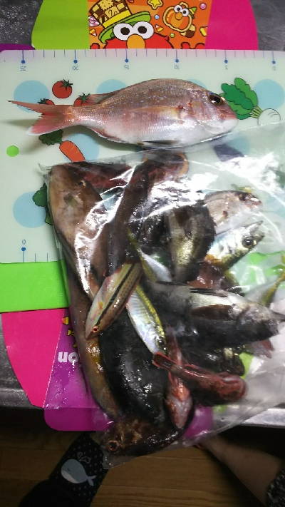 うきまろ釣大会に参加しました