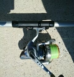 ヘダイ、キス、オオモンハタ