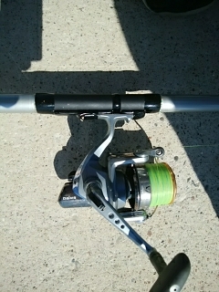 ヘダイ、キス、オオモンハタ