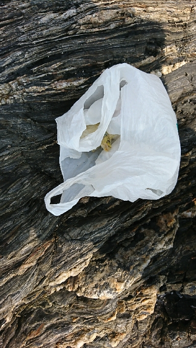 ごみは持ち帰りましょう。