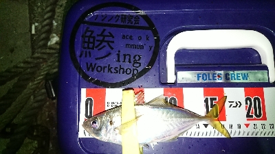 アジングいまいち