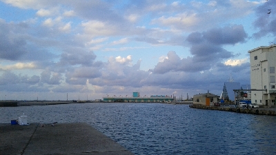 メバルが釣れました