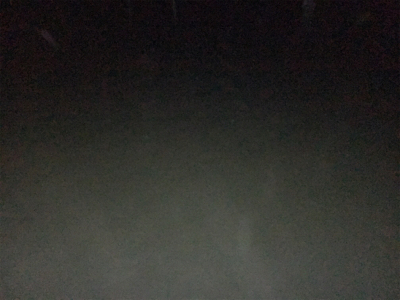 アジングのつもりだが