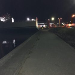 臼杵港ライトゲーム