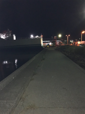 臼杵港ライトゲーム