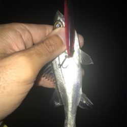 秋の名港ライトゲーム