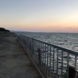 くっすんテンヤで絶好釣!