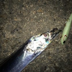 久しぶりの砂揚げ場