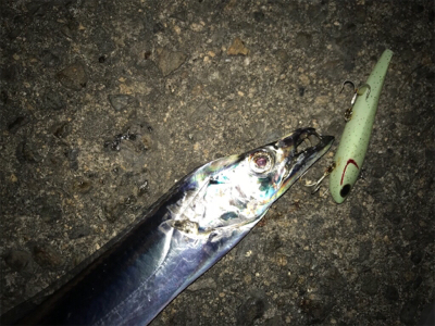 久しぶりの砂揚げ場