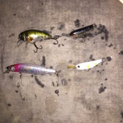 暗くなってからが勝負⁉︎