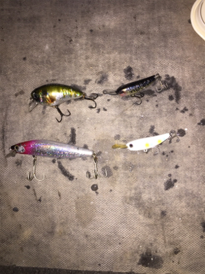 暗くなってからが勝負⁉︎