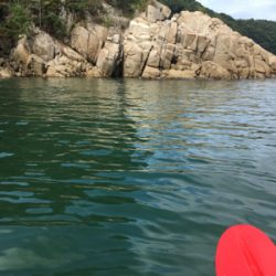 カヤックジギング・エギング