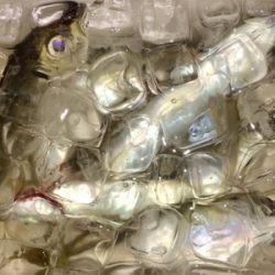 アジンガー1841〜2036