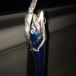 数釣りには最適