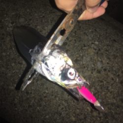 タチサゴパターン、ラストが…