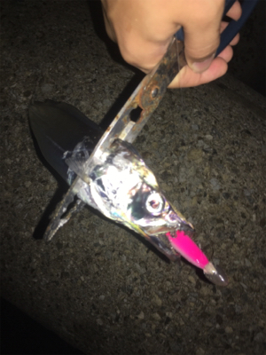 タチサゴパターン、ラストが…