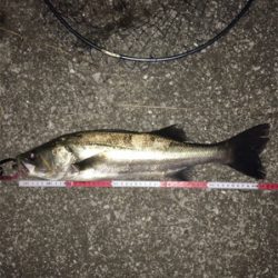 今日も仕事終わりに