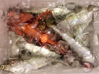 アジンガー1832〜2025