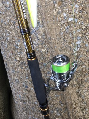 ようやく神戸ハマチ！