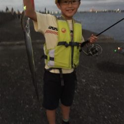 ベストシーズン