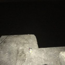 タチウオゲット