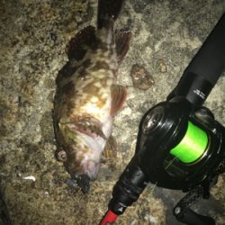 ベイトフィネスでお気軽デイロック