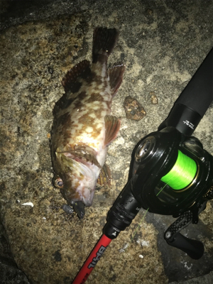 ベイトフィネスでお気軽デイロック