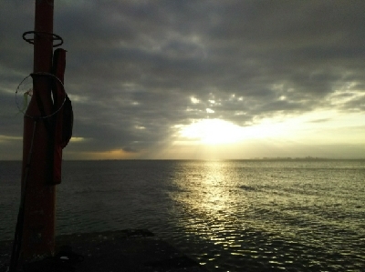 ジグでコノシロ1,2,3