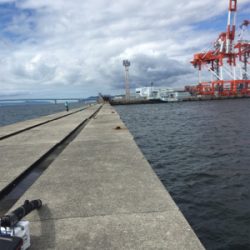 ポートアイランドにて、ノマセ釣り
