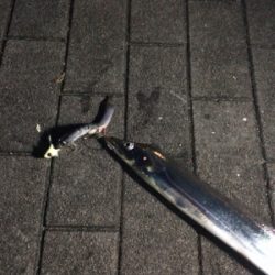 爆発力なし、サイズは小型化