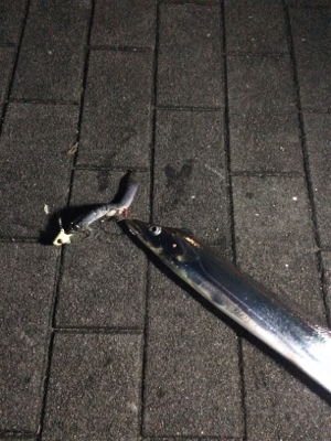 爆発力なし、サイズは小型化