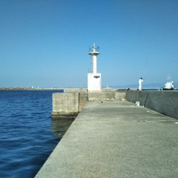 釣れるんですが…